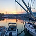 Génova