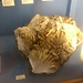 Geologisk Museet