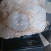 Geologisk Museet