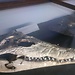 Geologisk Museet