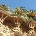 Get lost in Barcelona for more impressions...