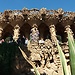Get lost in Barcelona for more impressions...