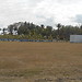 Sugar cane plantations