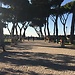 Giardino degli Aranci