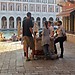 Giro di bacari a Venezia - Venedigs "Bacari"