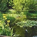 Botanical Garden