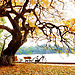 The most romantic city in NorhVietnam