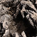 Hells mouth or Boca do Inferno