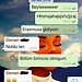Hikayenin Başı-Erasmus Nasıl Yapılır?