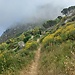 Hiking trail on western Ischia Island