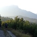 Hitching in bosnia