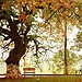 Hoan Kiem lake