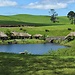 Hobbiton film locations and Mount Manganui