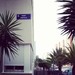 Hola Canarias! - super excitement