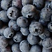Homemade cake with blueberries