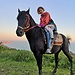 Horse riding at Sochi Highland forest
