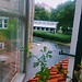 Housing Foundation Copenhagen - problems