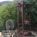 How to choose olive oil? Italian advices