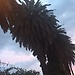 Huzur veren fotoğraf