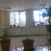 Zhvania Clinic of Pediatry