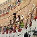 Il Palio di Siena