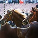 Il Palio di Siena