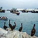 Ilo el secreto de la costa de Moquegua