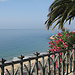 Ivo's Erasmus Experience in Tarragona, Spain