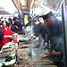 Japanese Fair Food!