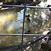Jardim zoologico de Lisboa and oceanarium
