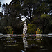 jardin botanico