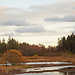 Järvelä Wetland