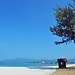 Jewel of Malaysia's islands: Langkawi island (I)