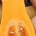 Judías pintas con calabaza