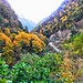 Georgia