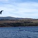 kiteboarding
