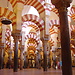 L' esperienza di Miguel a Córdoba, Spagna