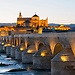 L' esperienza di Miguel a Córdoba, Spagna