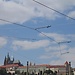 La château de Prague et la cathédrale Saint Guy