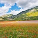 La Fioritura di Castelluccio di Norcia