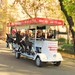 Beer Bike Sevilla
