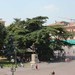 La piazza dell'Arena: Piazza Bra!