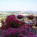 La terrazza fio...Rita B&B