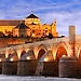 La Universidad de Córdoba