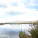 Las hermosas islas flotantes de los Uros, en Puno