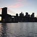 Dumbo