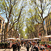 Las Ramblas