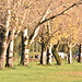 Le Cascine el parque más grande de Firenze