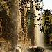 Le Parc de la Colline du Château à Nice