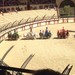 Le Puy du Fou